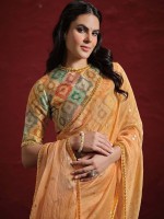 Light Orange Two Tone Tussar Silk Saree With Stitched Blouse