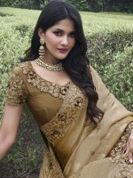 Beige Pure Tissue Silk Festive Wear Saree